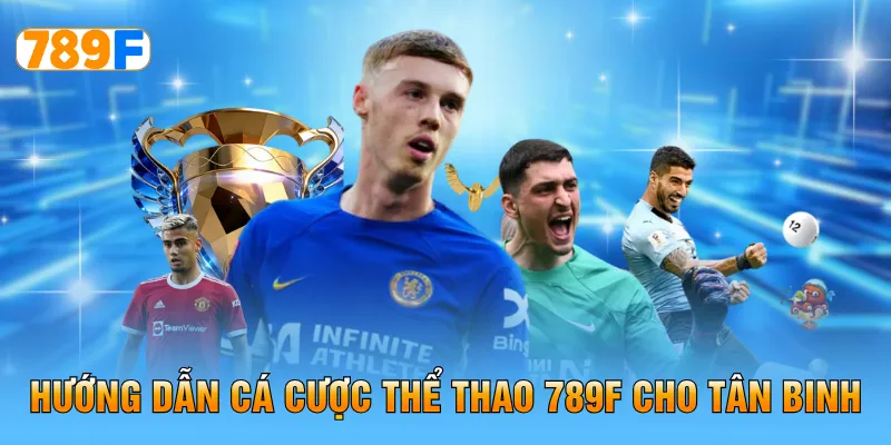 Hướng dẫn cá cược thể thao 789F cho tân binh